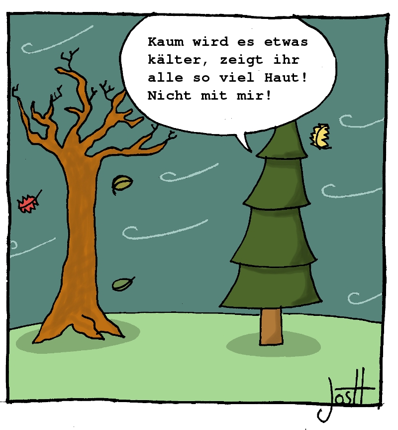 Fichte