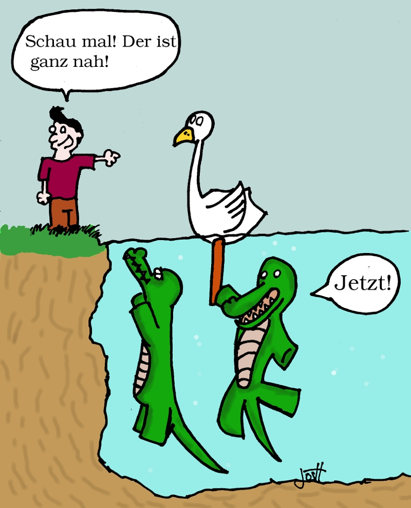 Krokodile