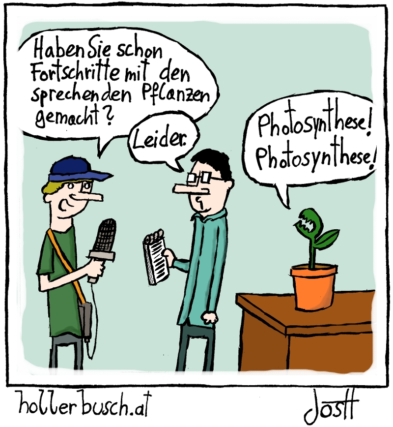 Photosynthese