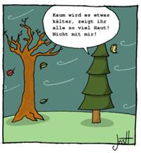 Fichte