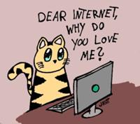 Katze