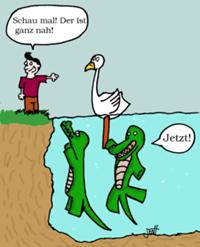 Krokodile