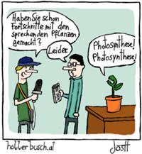 Photosynthese